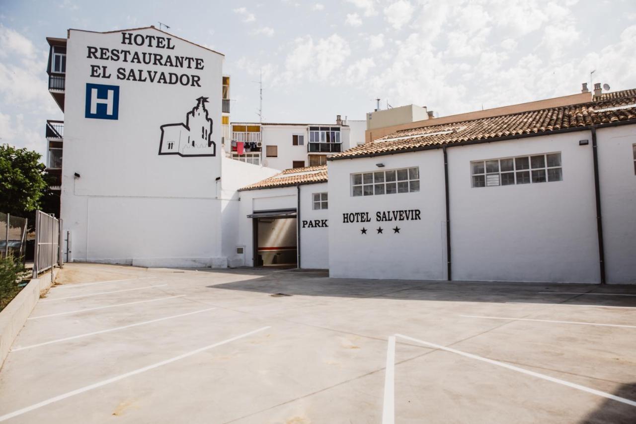 Hotel Salvevir Ejea De Los Caballeros Buitenkant foto
